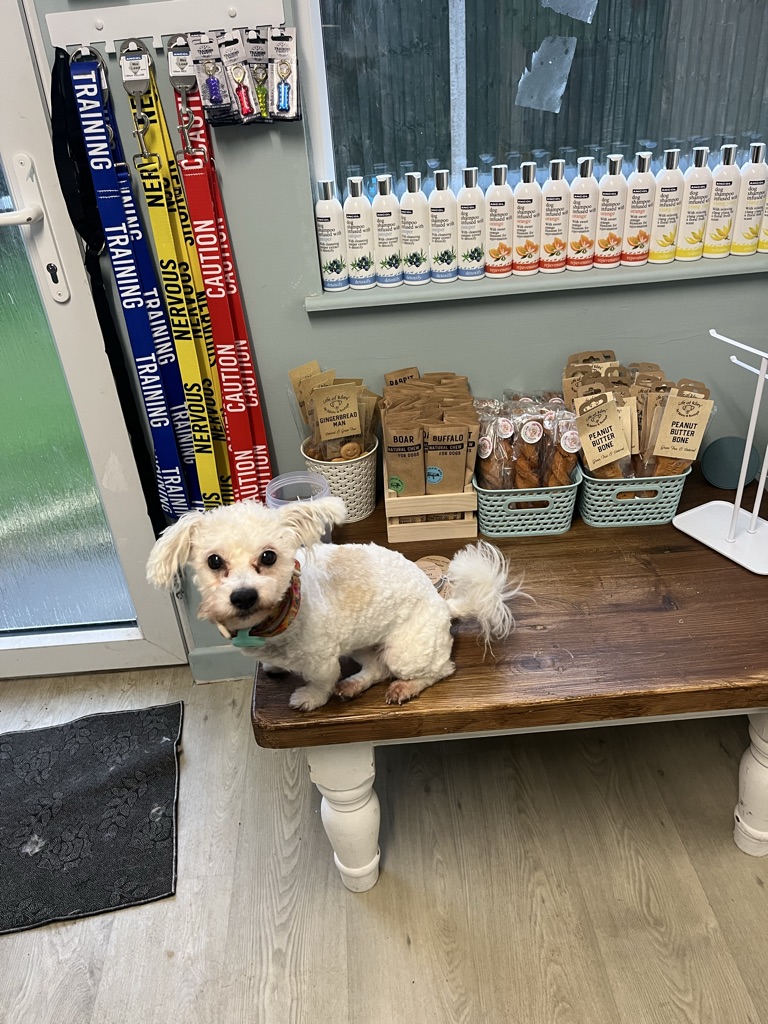 Dog beside treats and grooming products at Mr BoTangles Grooming